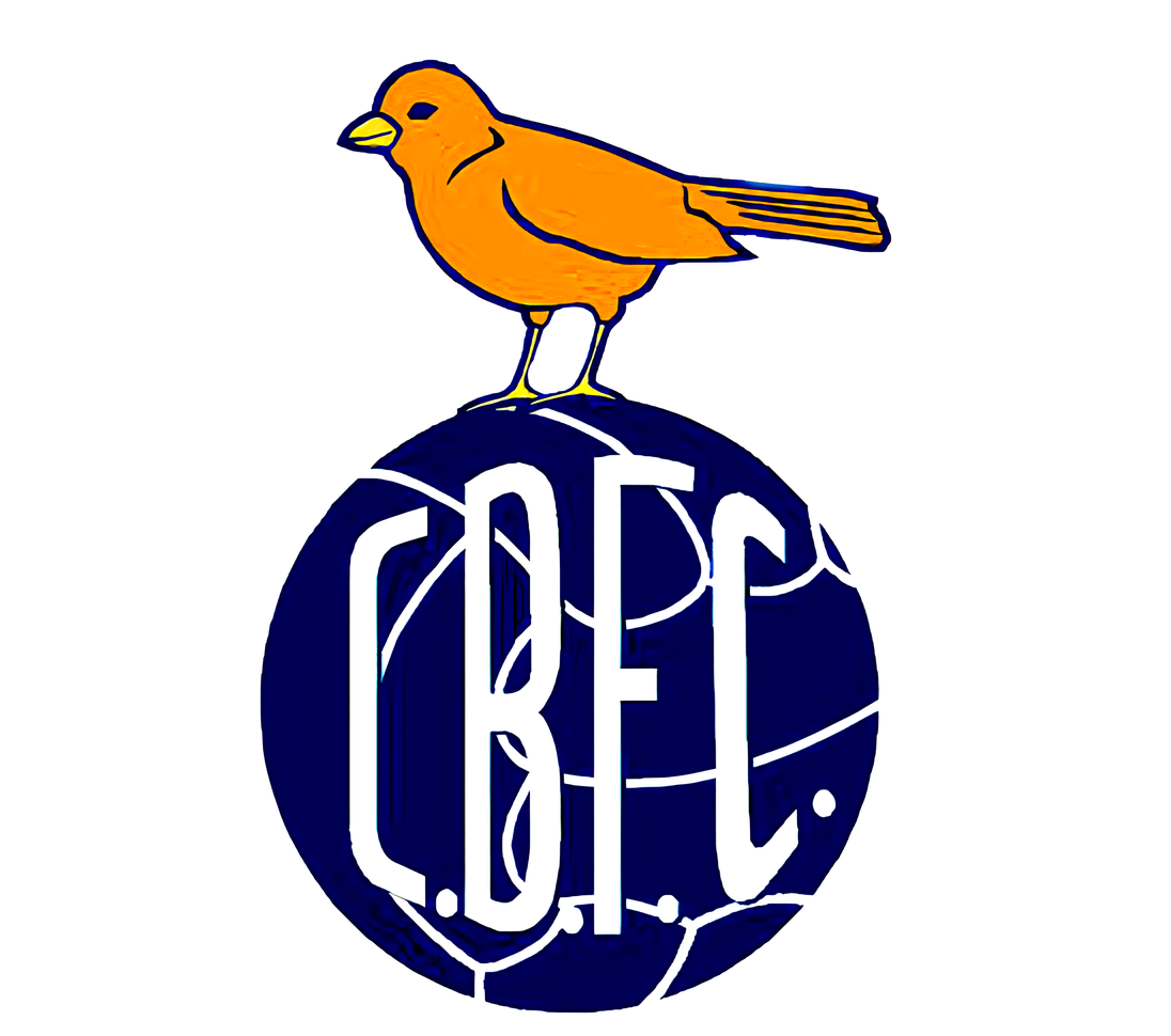 Logo dos Canários